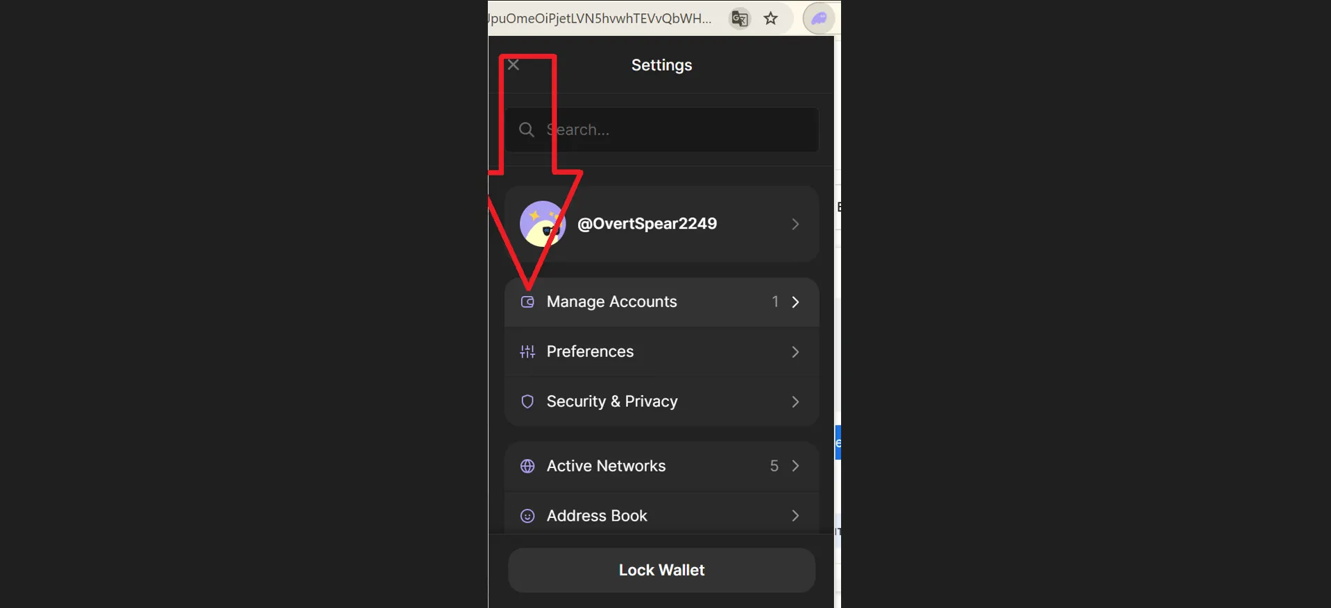 Solana-Honeypot-Token, Schritt 33